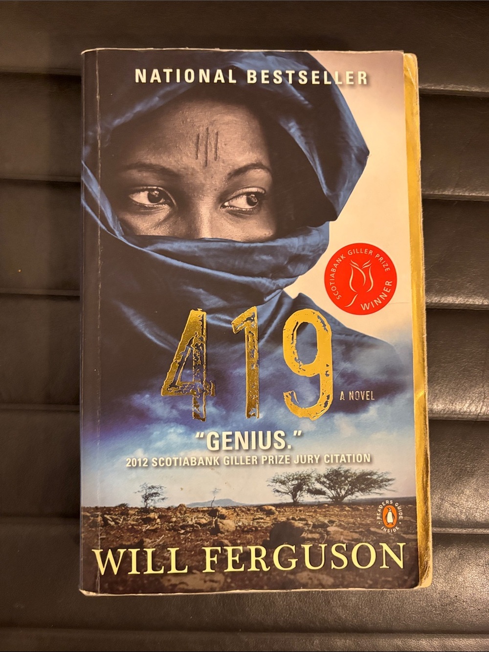 🌟 4 for $20 419 by Will Ferguson